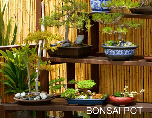 Bonsai pot